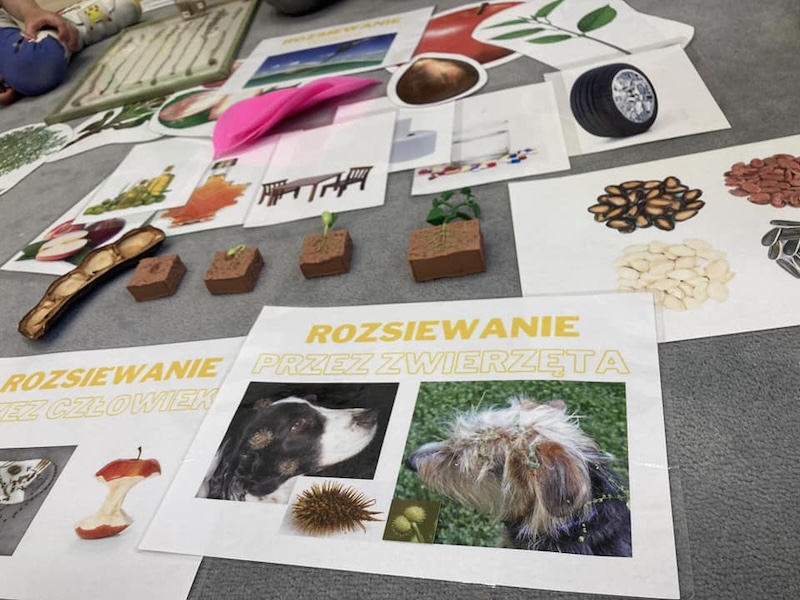 Przyroda i JA WROCŁAW kot pies przyjaciel hobby pasja warsztaty nauka