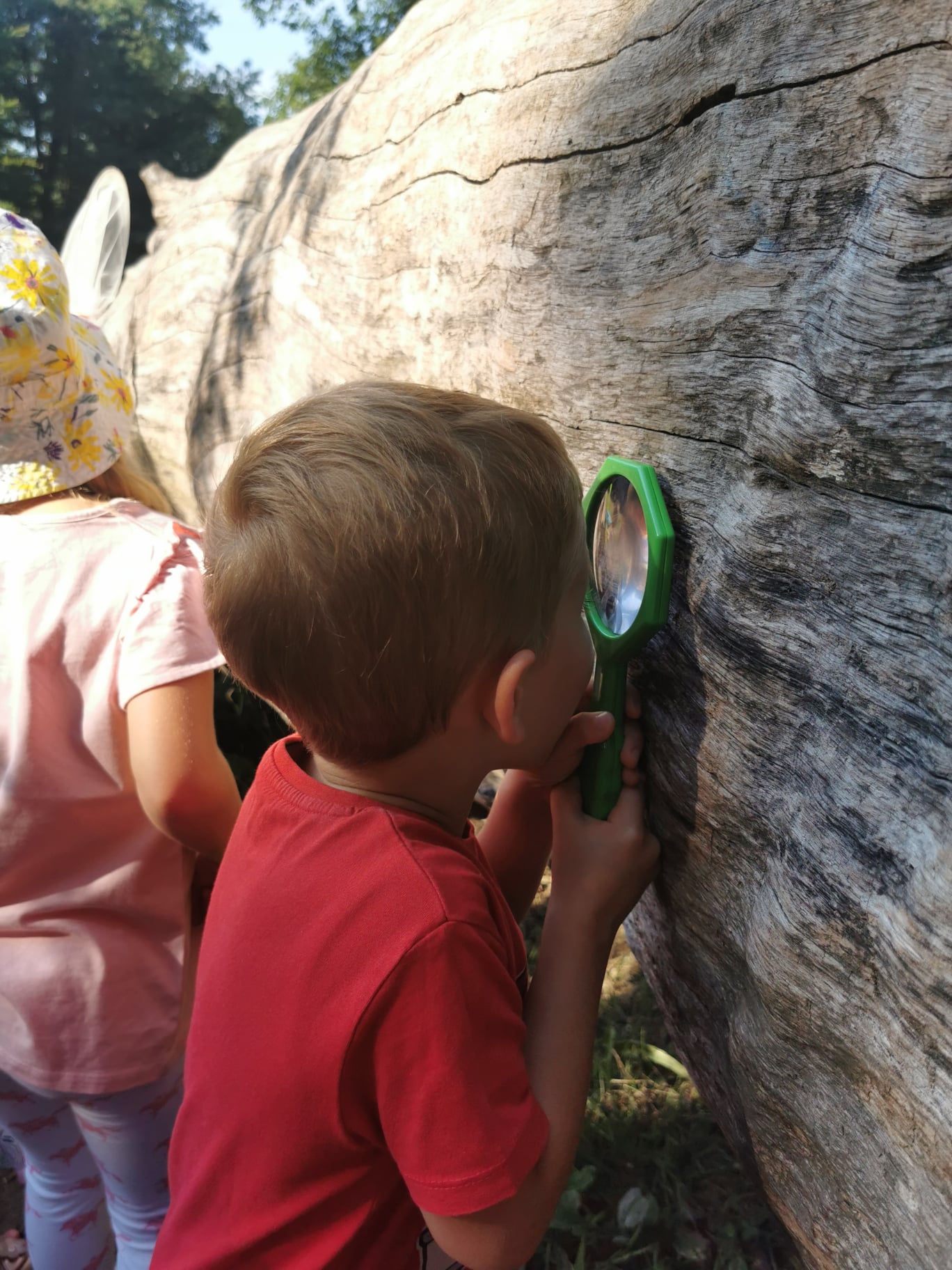 Przyroda i JA WROCŁAW centrum edukacji przyrodniczej natura